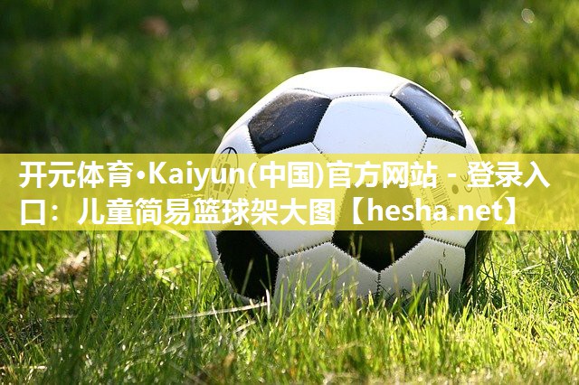 <strong>开元体育·Kaiyun(中国)官方网站 - 登录入口：儿童简易篮球架大图</strong>